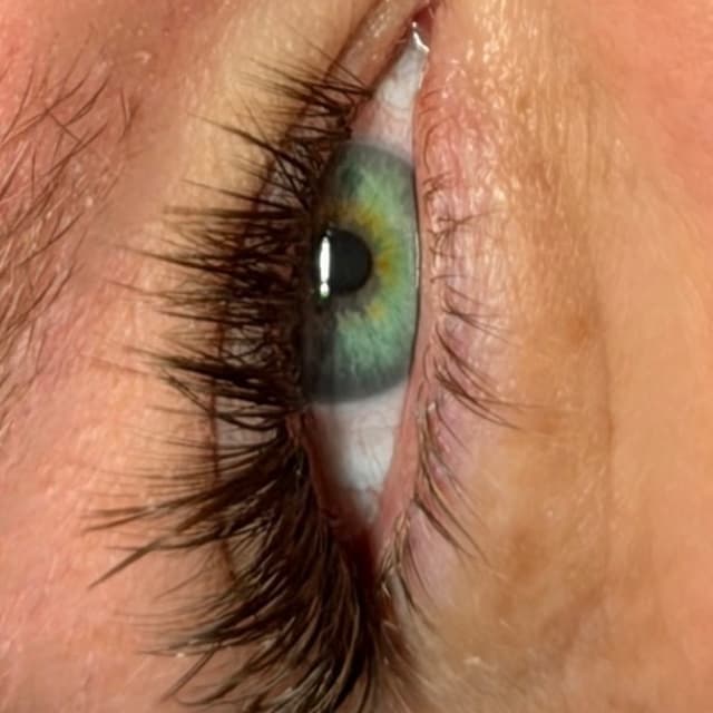 Hybrids - Maintenance Membership at MKLALashStudio in Windham, ME